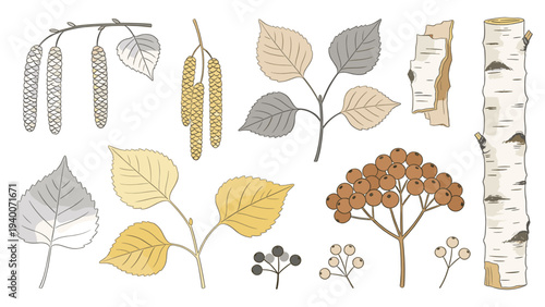 Digital Botanical Floral Set with Leaves Flowers Branches Showcasing Diverse Textures and Harmonious Composition as Illustration