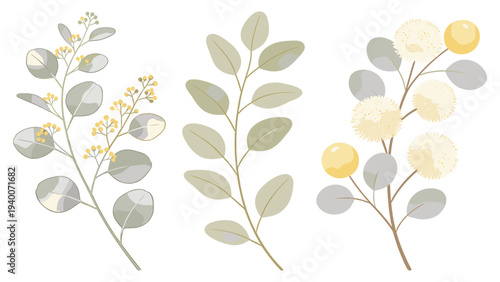 Botanical Arrangement of Three Leafy Branches with Yellow Flowers, Berries, and Leaves in Harmonious Composition on Clean Backdrop