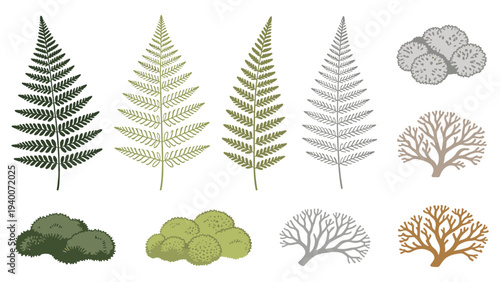 10 Diverse Species in Botanical Art, Flat Design for Educational and Decorative Use