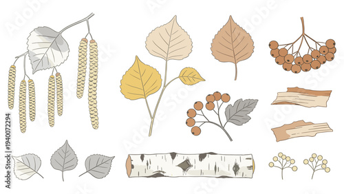 Digital Illustrations of Leaves, Branches, Berries in Yellow, Brown, Gray, Black - 13 Variations