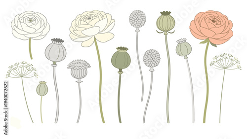 Elegance in Subtle Muted Tones