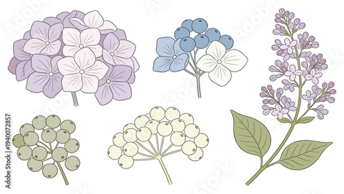 Soft Botanical Floral Species in Organically Arranged Pastel Palette, Five Unique Blooms in Serene Illustration for Decorative Design