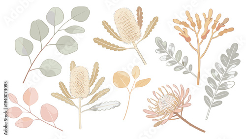 Ethereal Watercolor Botanical Set Featuring Botanical Floral Species in Muted Palette with Leaves, Stems, Blooms, and Delicate Illustrations on White Background
