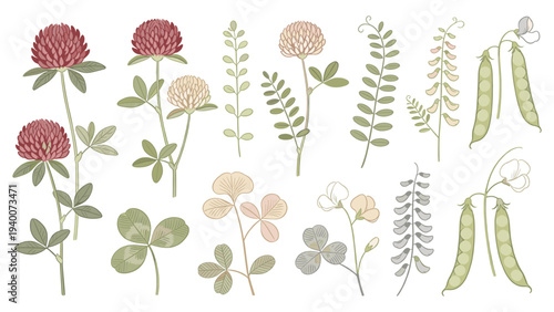 Set of 15 Botanical Illustrations in Muted Tones Showcasing Diverse Floral Species and Greenery in Three Rows of Five – Hand-Drawn, Elegantly Simplified