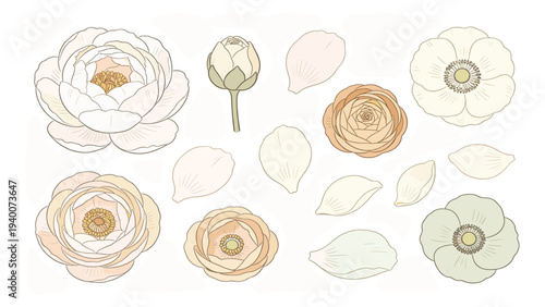 Minimalist Botanical Collection of 11 Flowers and Leaves in Soft Colors and Random Pattern, Illustrated in Muted Tones for Calm