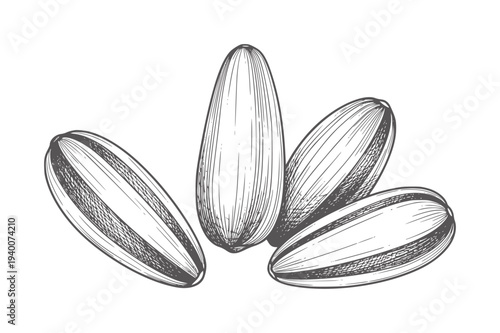 Four black and white line sunflower seeds food organic natural