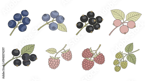 Set Element Vibrant Botanical Berry Clusters with Leaves in Culinary Design