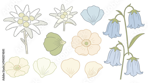 Digital Botanical Floral Tutorial Illustration with Stylized Set Elements and Colored Rows of Flowers and Leaves