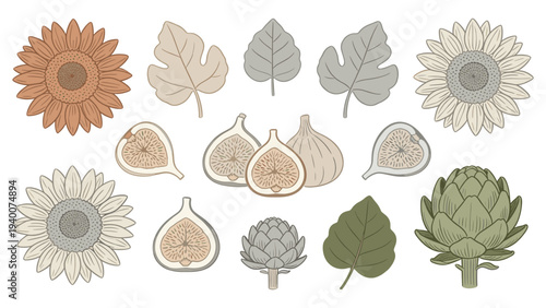 Stylized Botanical Illustration Featuring Grid-Arranged Sunflower, Figs, Artichoke, Leaves in Muted Greens and Browns