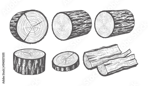 Six wood logs and cross sections with bark and rings timber lumber