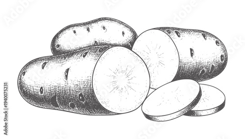 Vintage of whole and sliced potatoes white food vegetable ingredient