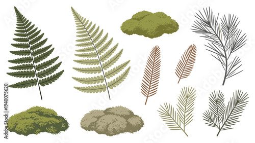 Set of Nine Botanical Illustrations Featuring Fern, Moss, Lichen, Rock, Evergreen, Needle-leaf, and Sprig Elements