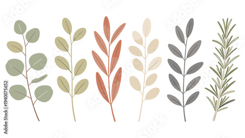 Six Branches with Diverse Leaves and Stems in Various Colors and Shapes Arranged Horizontally