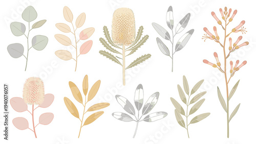 Digital Illustration of Bamboo Stalks, Lotus Flowers, Lily Pads in Botanical Floral Species Set Element _1731805422.eps