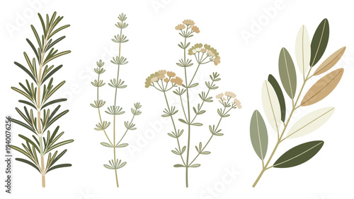 tulip, daffodil, hyacinth with diverse shades and green foliage in detailed botanical illustration