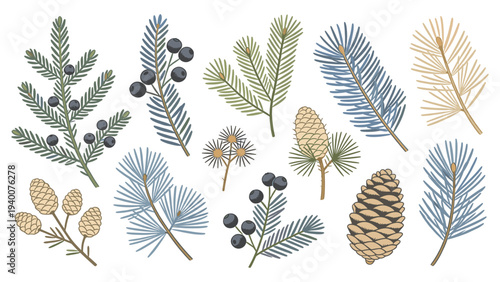 Hand-Drawn Botanical Floral Species Set Featuring Evergreen Branches, Pine Cones, and Muted Leaf Illustrations in Digital Art