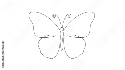 Butterfly line art with elegant swirling antennae and delicate wing shapes for natural beauty and minimalist design.