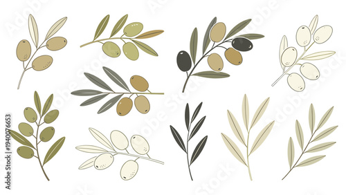 Stylized Olive Branches Botanical Design with Green Beige Brown Tones Modern Minimalist Composition Evoking Serenity