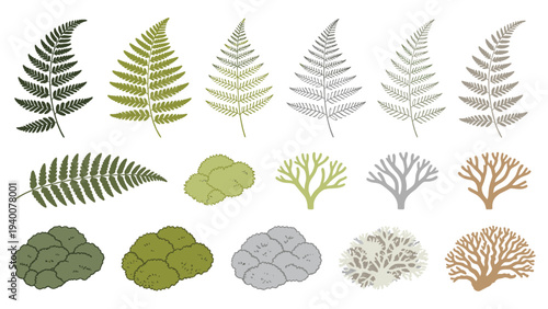 Botanical Species Collection with Pointed, Rounded, and Lobed Shapes in Greens, Grays, and Oranges