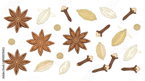 Set element botanical floral species illustration of star anise and cinnamon sticks with cardamom pods and seeds displayed overhead
