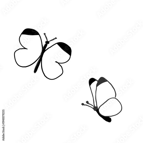 手描きの蝶々のシンプルな線画イラスト