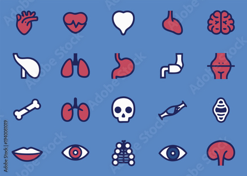 Human anatomy organ icons are arranged on a blue background.