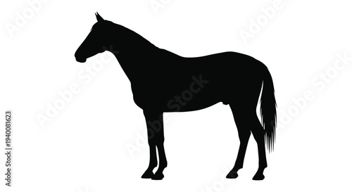 Silhouette of a majestic horse standing in a profile view
