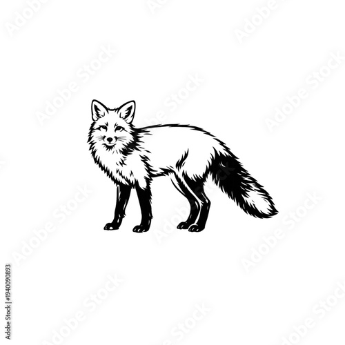 Vector line art illustration of Fox.