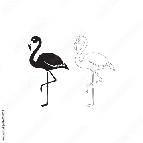 Flamingo Silhouette and Outline Standing on One Leg Isolated on White Background
