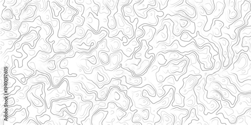 Gray topographic contour map pattern with wavy lines and shapes  abstract background texture