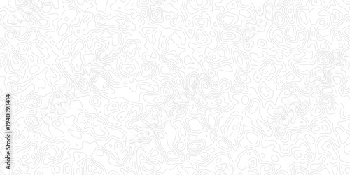 Gray topographic map contour lines on white background pattern texture