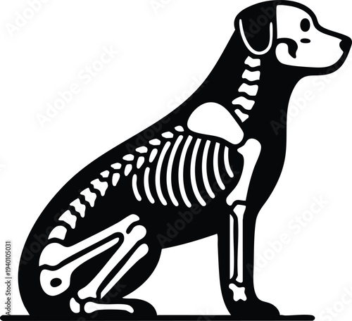 Dog skeleton structure silhouette vector illustration xray style graphic isolated on a white background