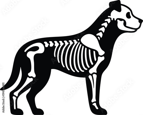 Dog skeleton structure silhouette vector illustration xray style graphic isolated on a white background