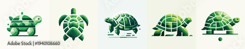 Vector of a Turtle