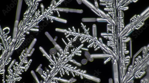 Intricate snowflake structures captured under a microscope, showcasing unique crystalline patterns