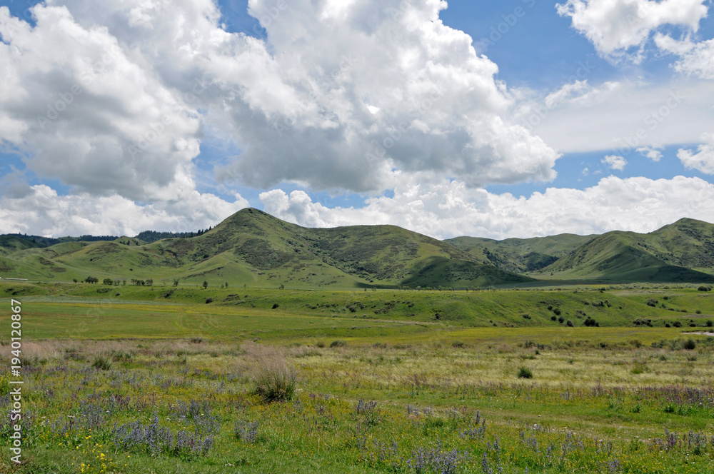 Obraz premium Scenic landscape of green grassy hills and a flowering meadow under a cloudy blue sky