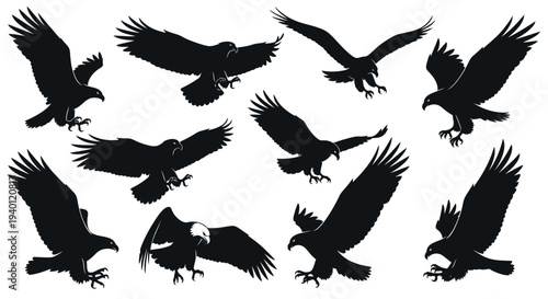 Minimalist flat vector illustration set of eagle silhouettes in various flying poses.