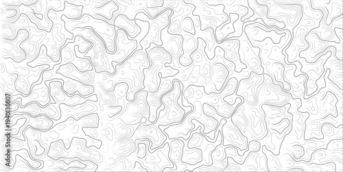Gray topographic map lines on white background  abstract geographic pattern
