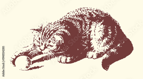 Playful tabby cat vector illustration graphic depicting an adorable kitten engaging with a toy ball, perfect for children's books and pet-related design.