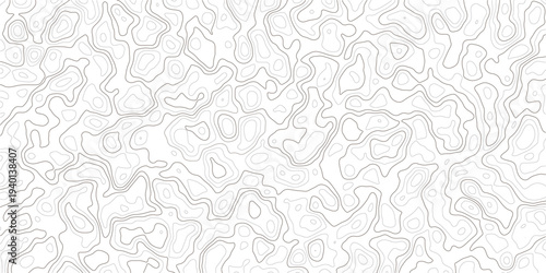 Gray topographic map lines on white background for design and texture_2