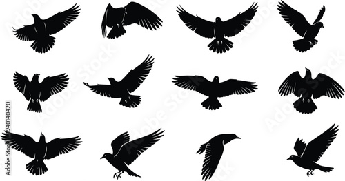 Set of flying bird silhouettes and black raven or crow icons in various flight poses and wing spreads for nature designs