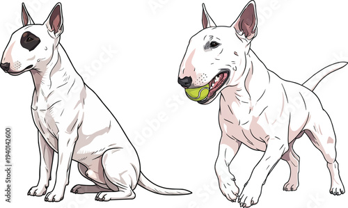 Bull Terrier dog playing fetch sitting side profile pose set