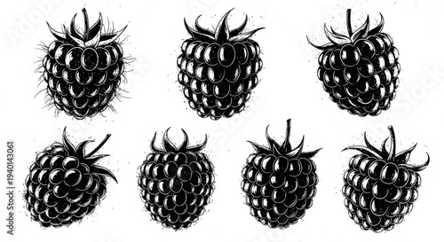 Black and White Raspberry Illustrations - Hand Drawn Fruit Collection