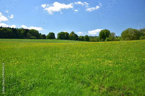 фотографія Protected landscape area Èesky les near Nemanice, spring season