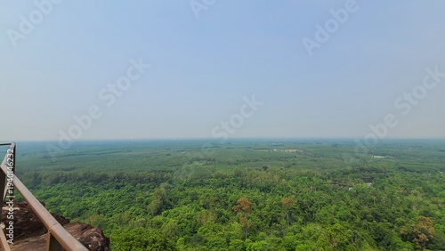 広大なジャングル