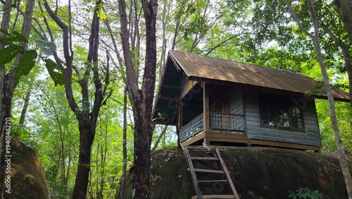 ジャングルの中の小屋