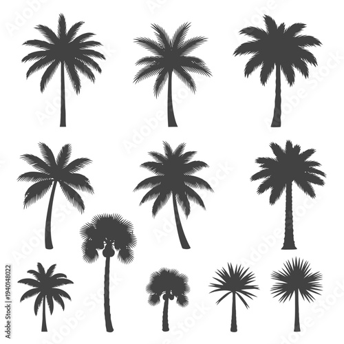 Collection of Various Palm Tree Silhouettes.