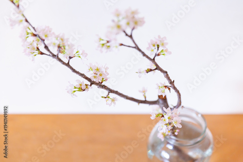Foto ガラスの花びんに生けられた開花した桜の枝