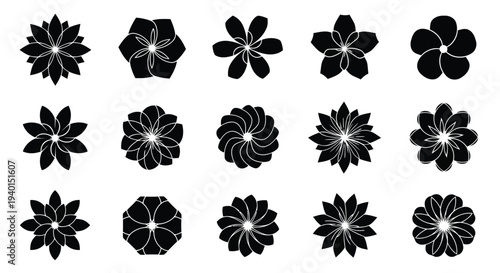 A collection of various geometric star patterns in black and white