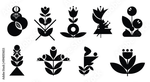 A collection of various intricate and decorative floral designs in black and white